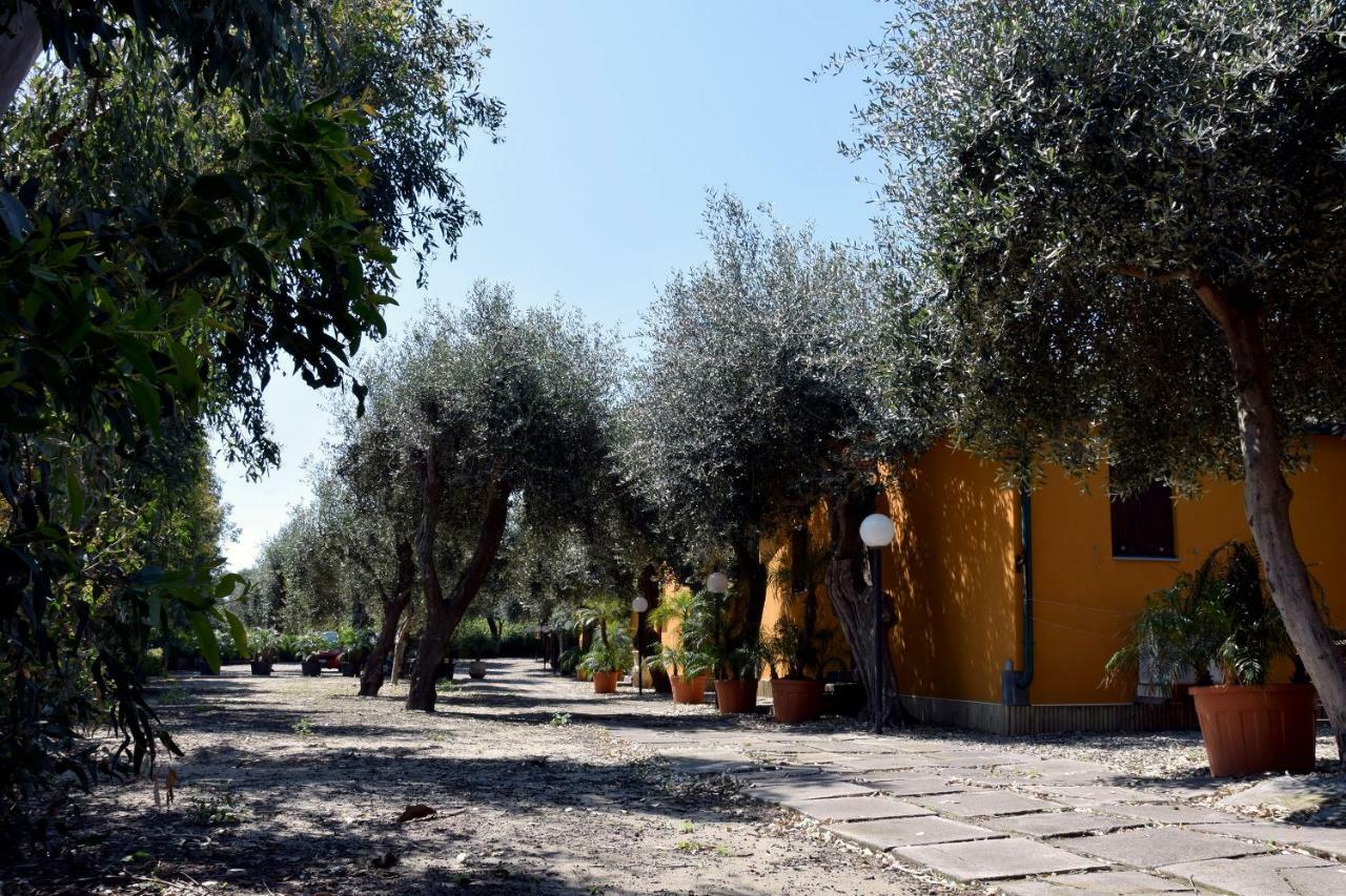 Riviera Degli Eucalipti - Cottage In Riva Al Mare Acireale Dış mekan fotoğraf