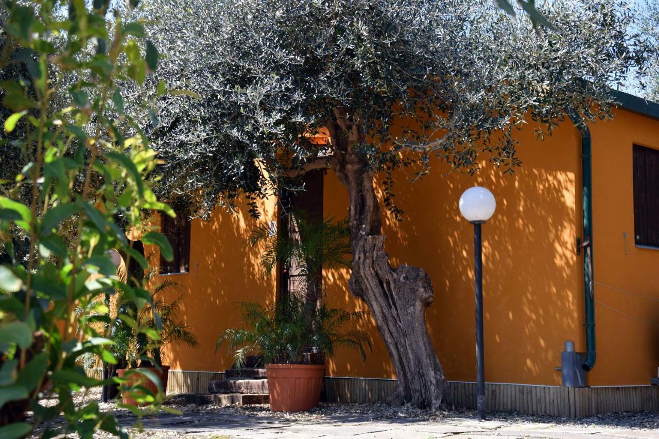 Riviera Degli Eucalipti - Cottage In Riva Al Mare Acireale Dış mekan fotoğraf