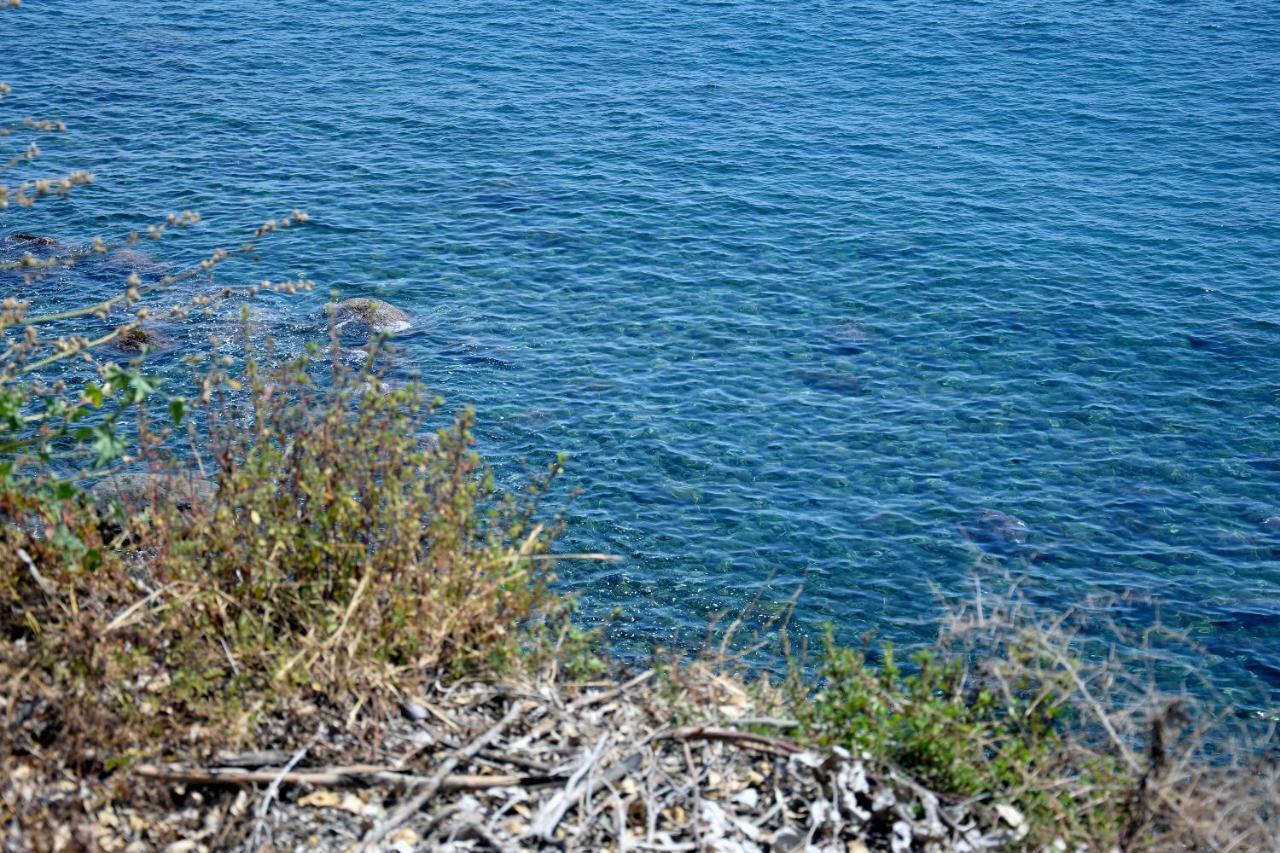 Riviera Degli Eucalipti - Cottage In Riva Al Mare Acireale Dış mekan fotoğraf